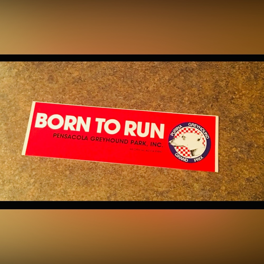 Born To Run Purina Greyhound Grand Prix Bumper Sticker